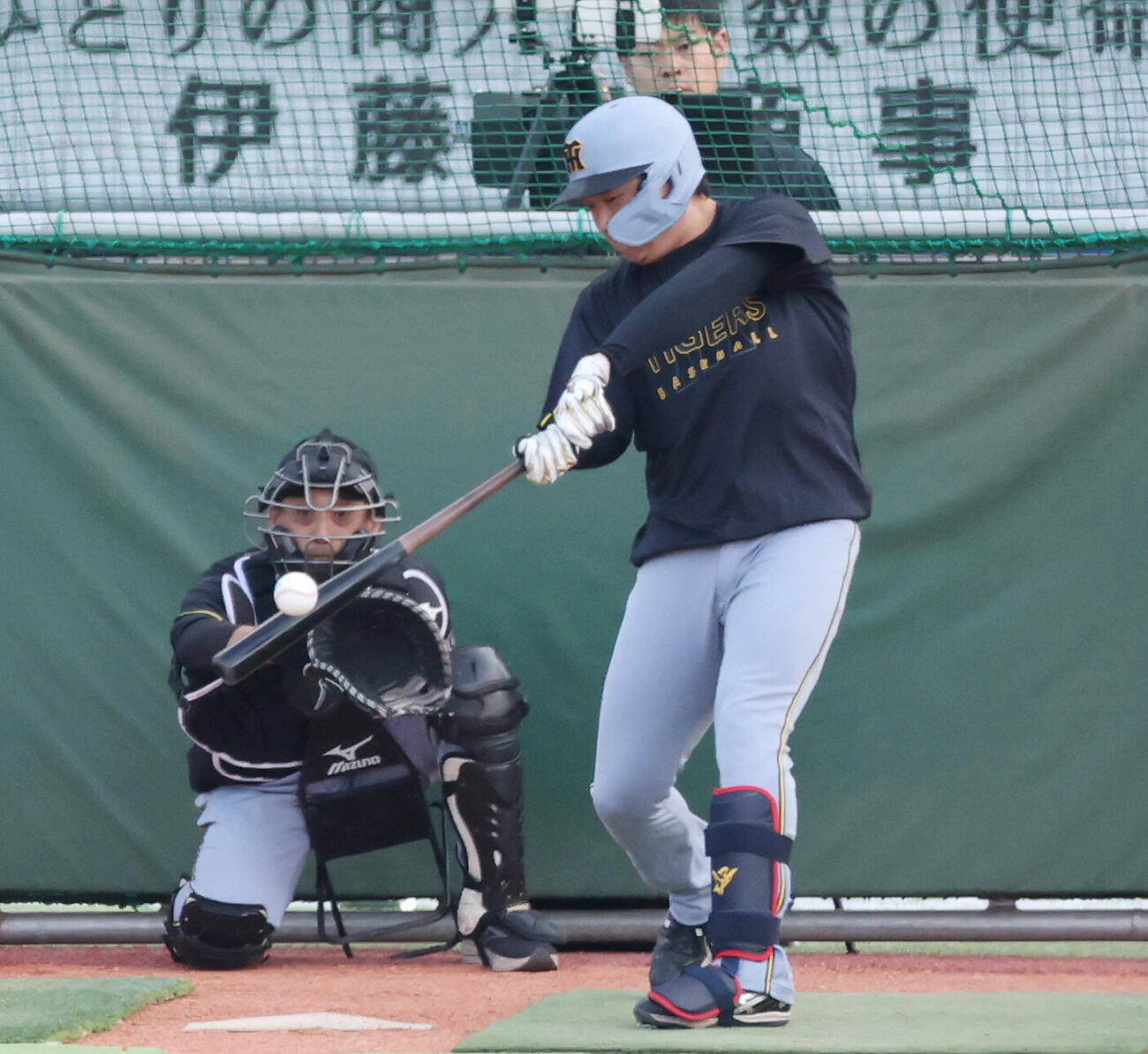ヤクルト対阪神　試合前、打撃練習する阪神大山悠輔（撮影・宮地輝）