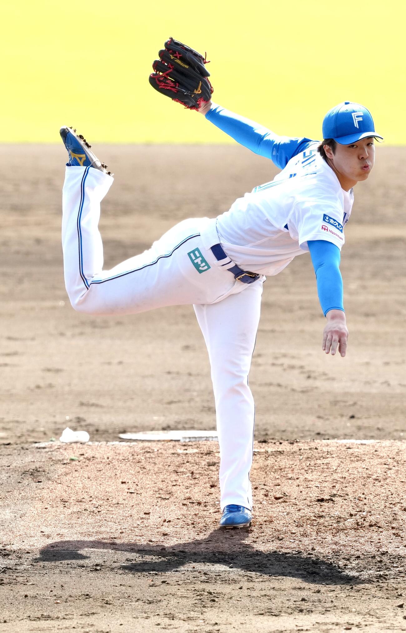 日本ハム柴田獅子（2026年2月撮影）