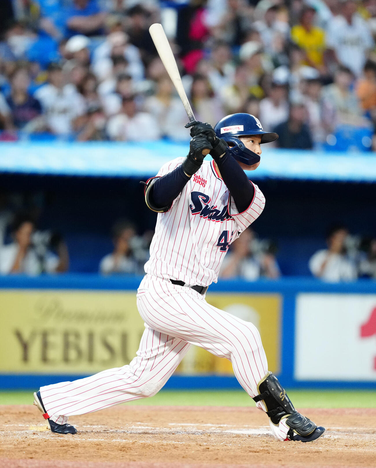 ヤクルト沢井廉（2024年9月撮影）