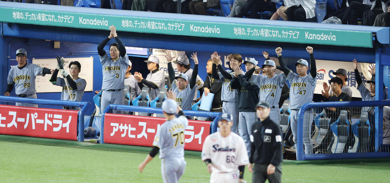 ヤクルト対阪神　9回表阪神無死二塁、伏見寅威が適時二塁打を放ち盛り上がるチームメートたち（撮影・宮地輝）