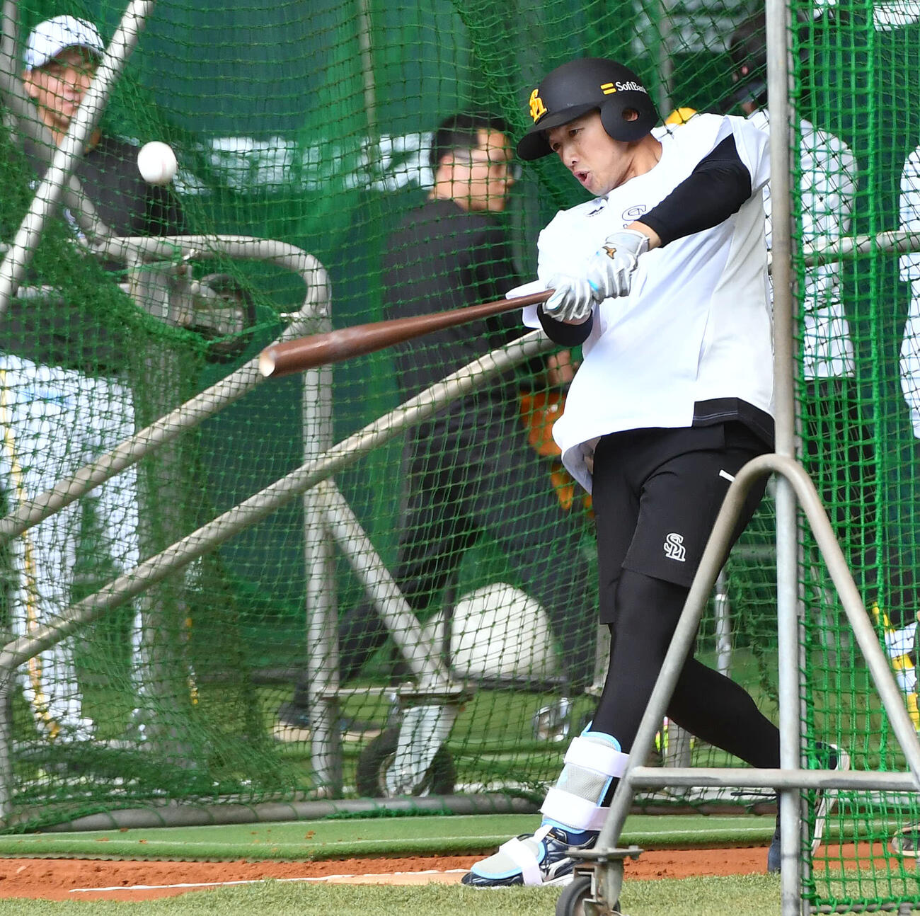 ソフトバンク対西武　試合前、フリー打撃を行うソフトバンク山本祐大（撮影・岩下翔太）