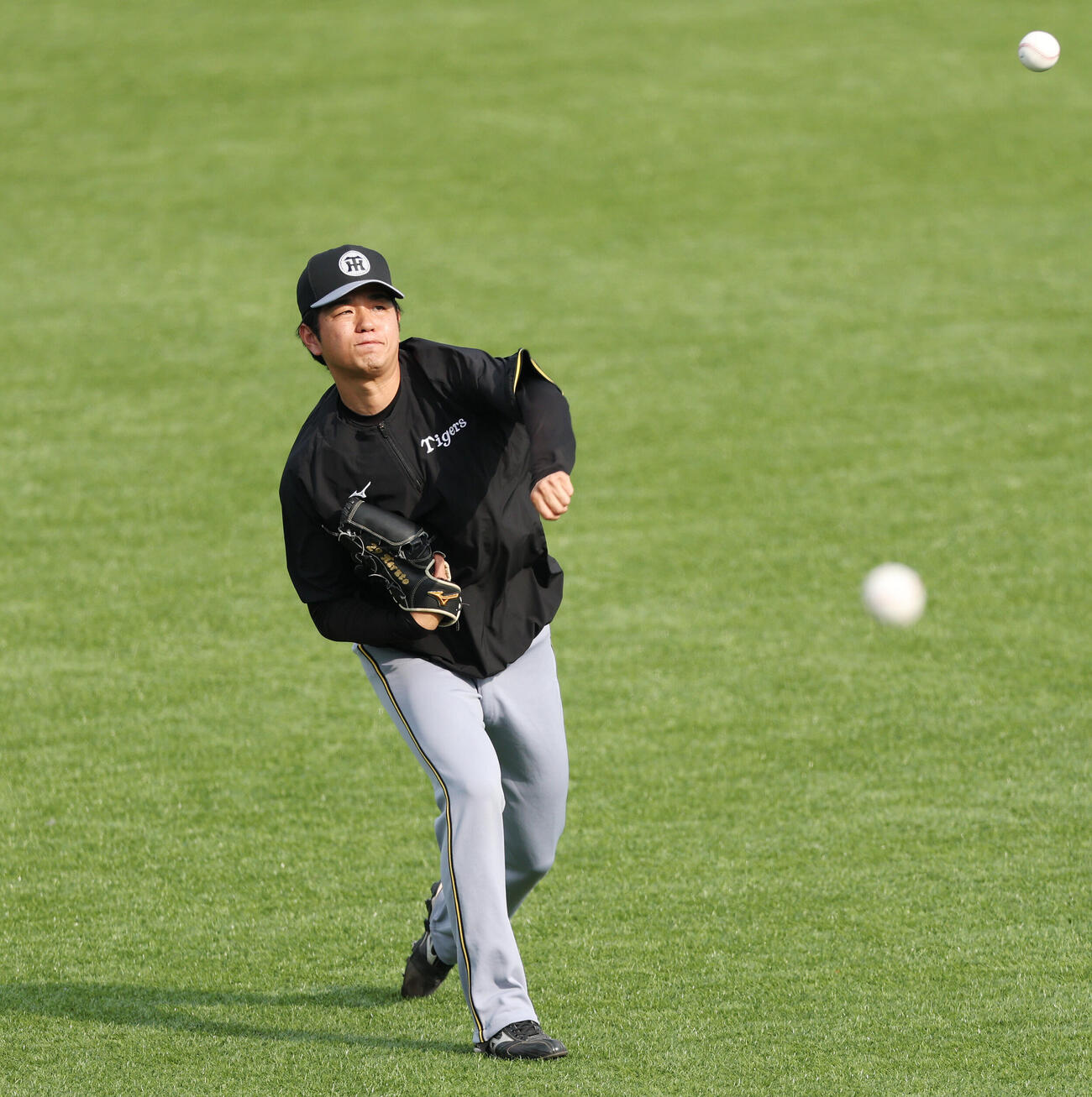 ヤクルト対阪神　試合前練習でキャッチボールする阪神高橋遥人（撮影・宮地輝）
