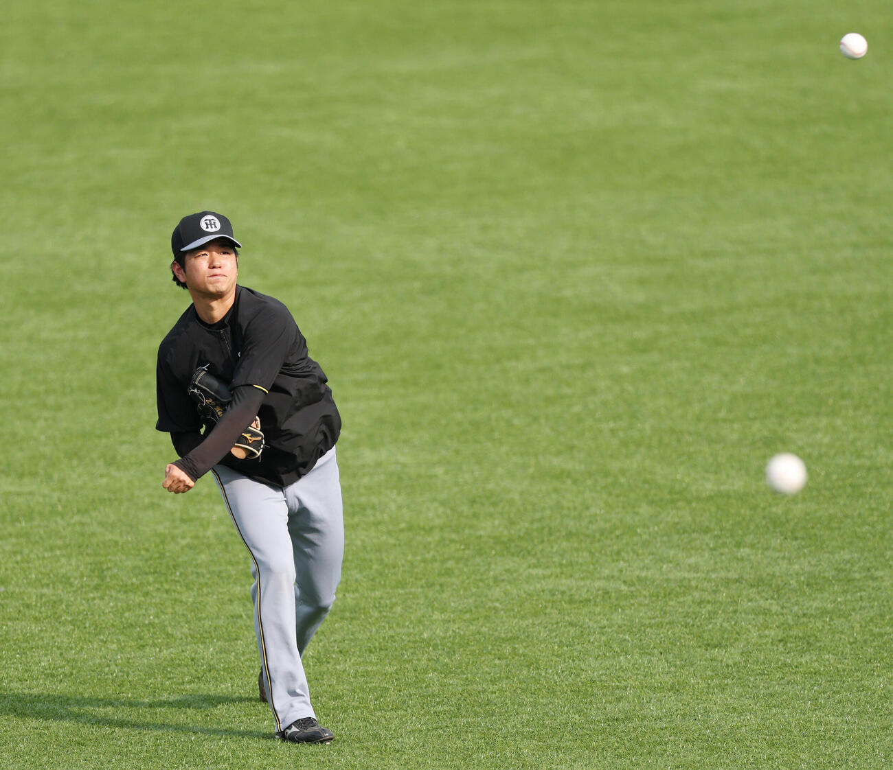 ヤクルト対阪神　試合前練習でキャッチボールする阪神高橋遥人（撮影・宮地輝）