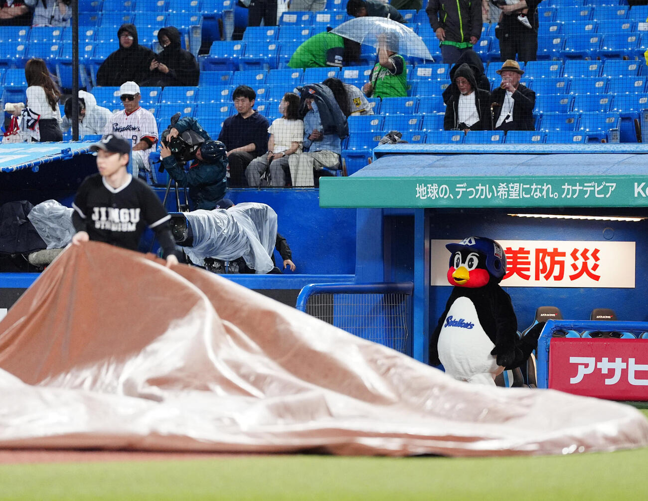 ヤクルト対阪神　雨が降り出しグラウンドをみつめるつば九郎（撮影・清水貴仁）