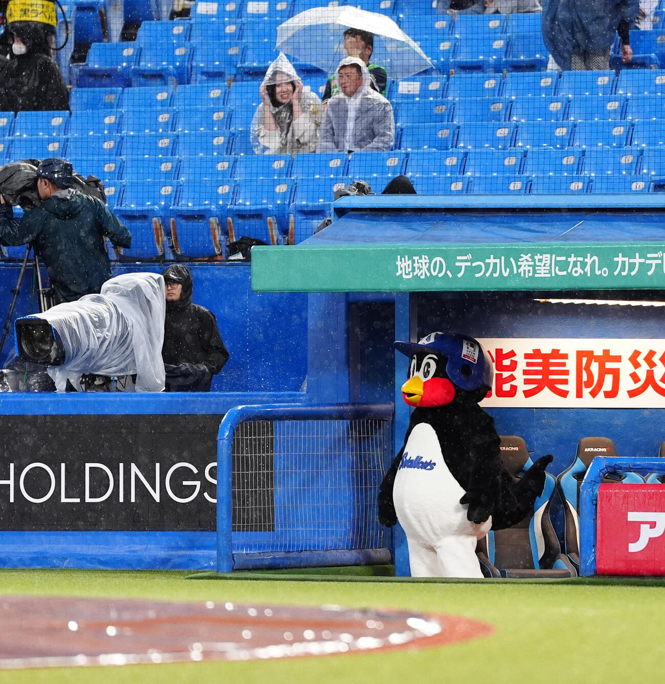 ヤクルト対阪神　雨が降り出しグラウンドをみつめるつば九郎（撮影・清水貴仁）