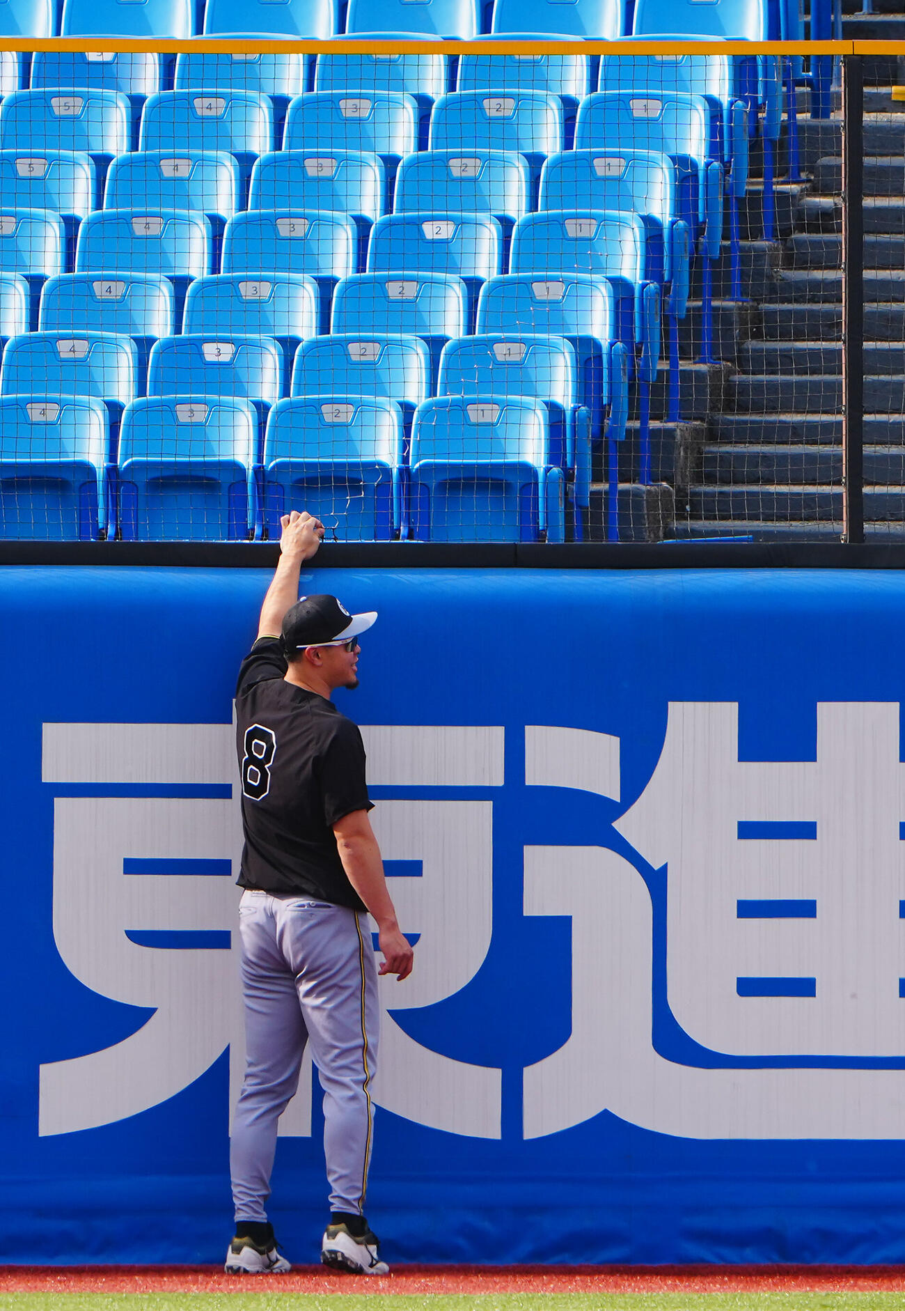 ヤクルト対阪神　試合前練習中、左中間付近の外野ネットを触る阪神佐藤輝明（撮影・垰建太）