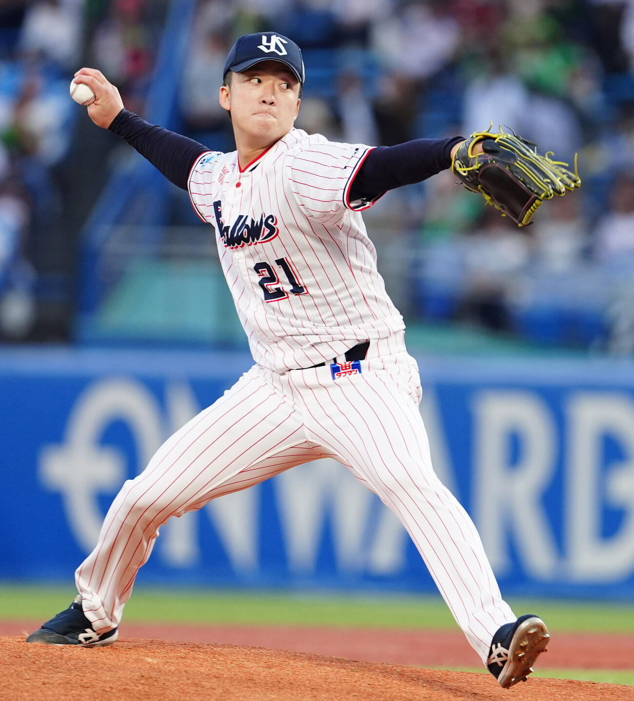 阪神戦で先発する吉村貢司郎（2026年5月12日撮影）