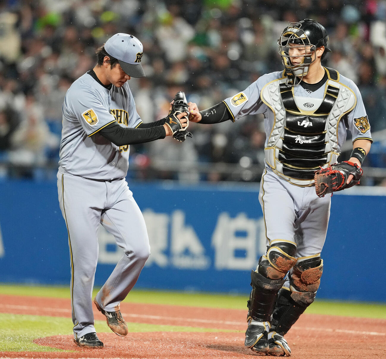 ヤクルト対阪神　5回、この回を3者凡退に抑え捕手伏見寅威（右）とタッチを交わす阪神高橋遥人（撮影・清水貴仁）
