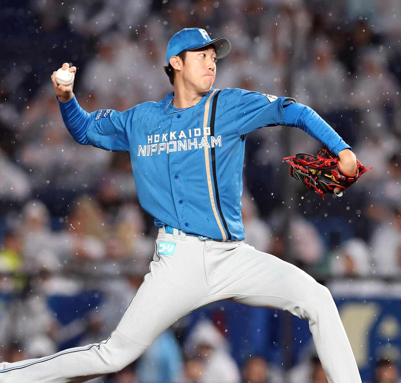 ロッテ対日本ハム　力投する日本ハム先発の福島蓮　（撮影・浅見桂子）