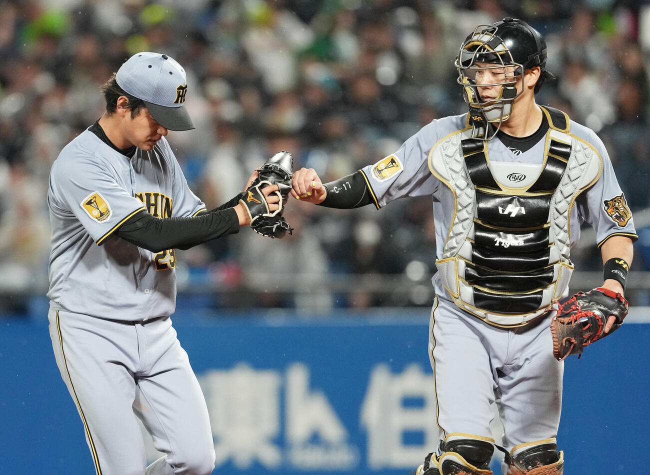 ヤクルト対阪神　5回、この回を3者凡退に抑え捕手伏見寅威（右）とタッチを交わす阪神高橋遥人（撮影・清水貴仁）