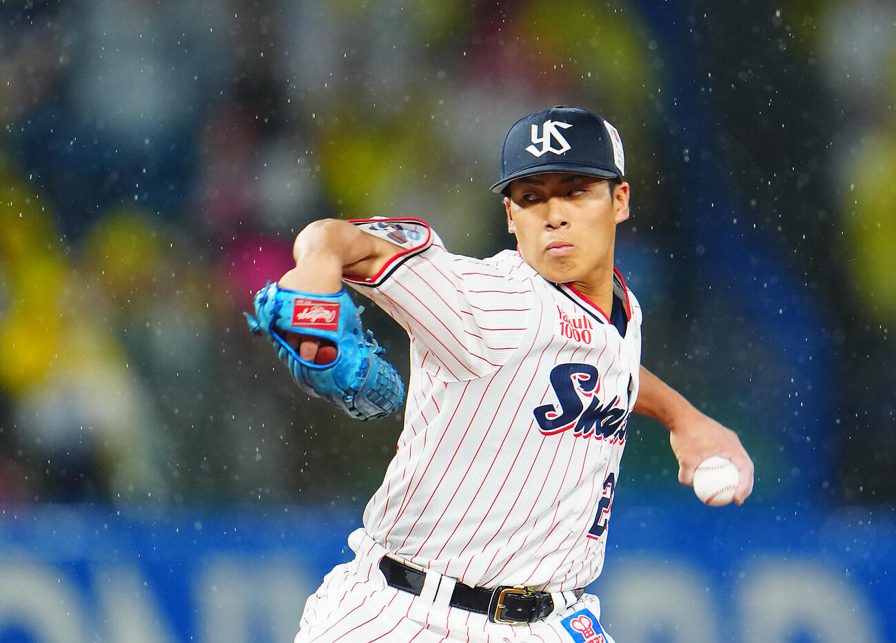 ヤクルト対阪神　雨足強まる中、力投するヤクルト先発の山野太一（撮影・垰建太）