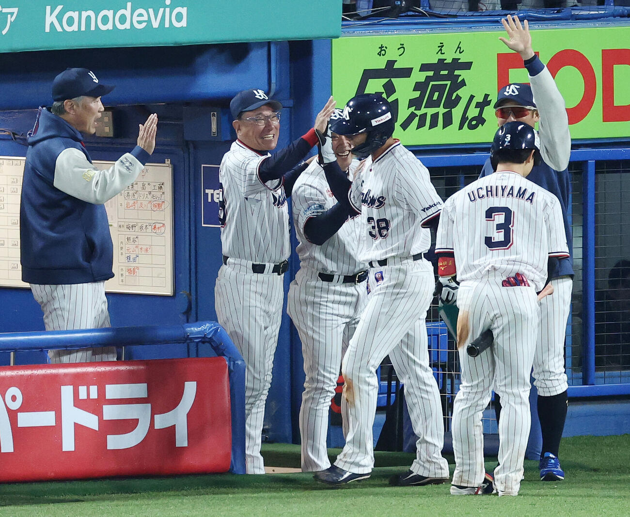 ヤクルト対阪神　8回裏ヤクルト1死満塁、代打古賀優大の押し出し死球で生還した石井巧（中央）を迎える池山隆寛監督（同左）ら（撮影・宮地輝）