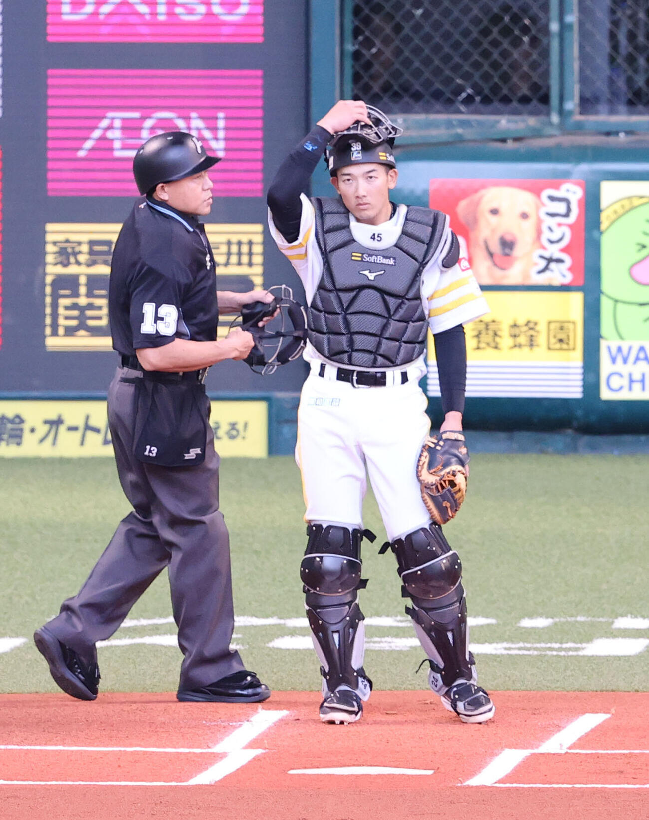 ソフトバンク対西武　スタメンでマスクを被るソフトバンク山本祐大（撮影・梅根麻紀）
