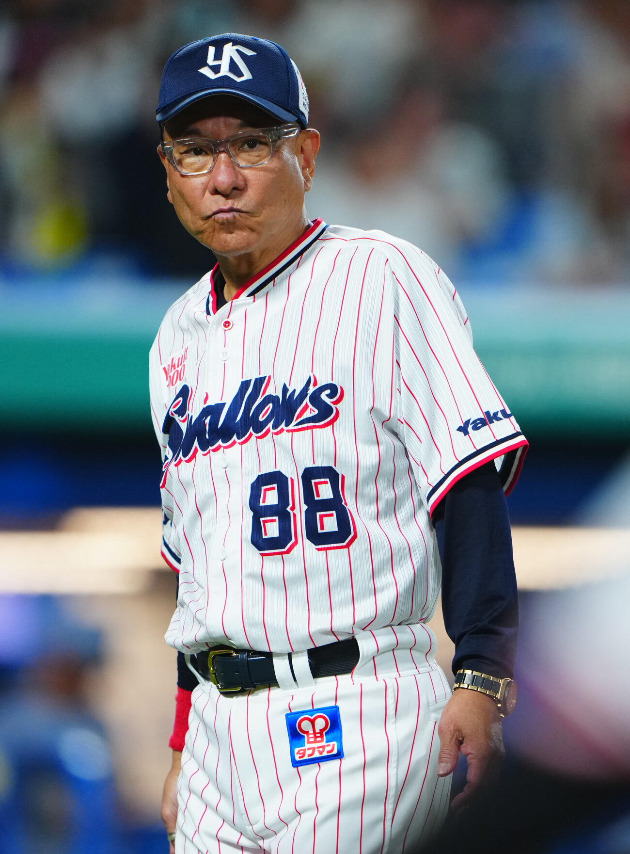 ヤクルト池山隆寛監督（2026年5月撮影）