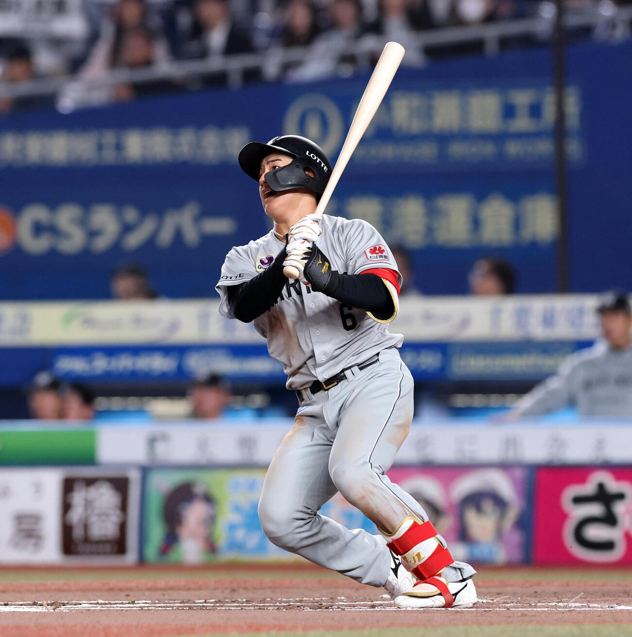 ロッテ対日本ハム　6回裏ロッテ無死、西川史礁はソロ本塁打を放つ（撮影・浅見桂子）