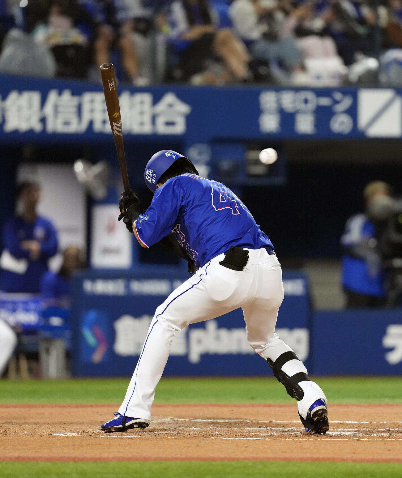 DeNA対中日　7回表中日2死、死球を受ける土田龍空（撮影・小島史椰）