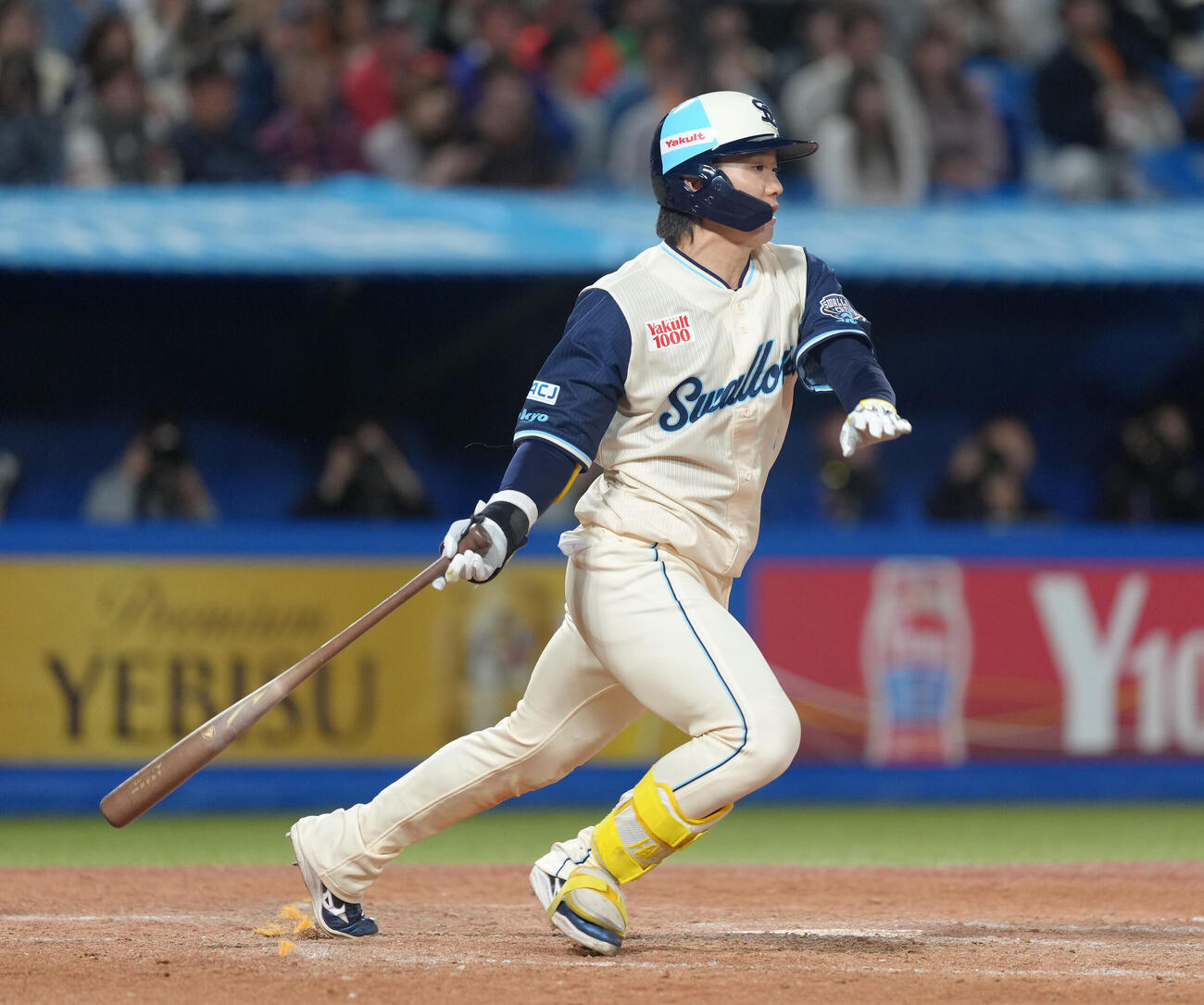 ヤクルト長岡秀樹（2026年4月撮影）