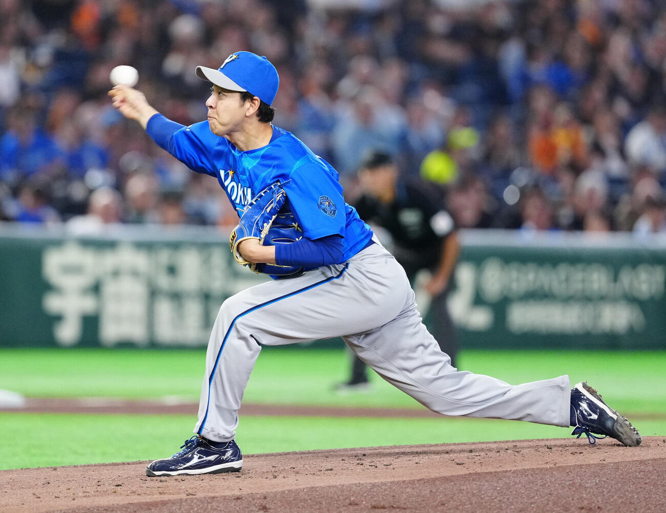 巨人対DeNA DeNA先発の平良拳太郎（撮影・江口和貴）
