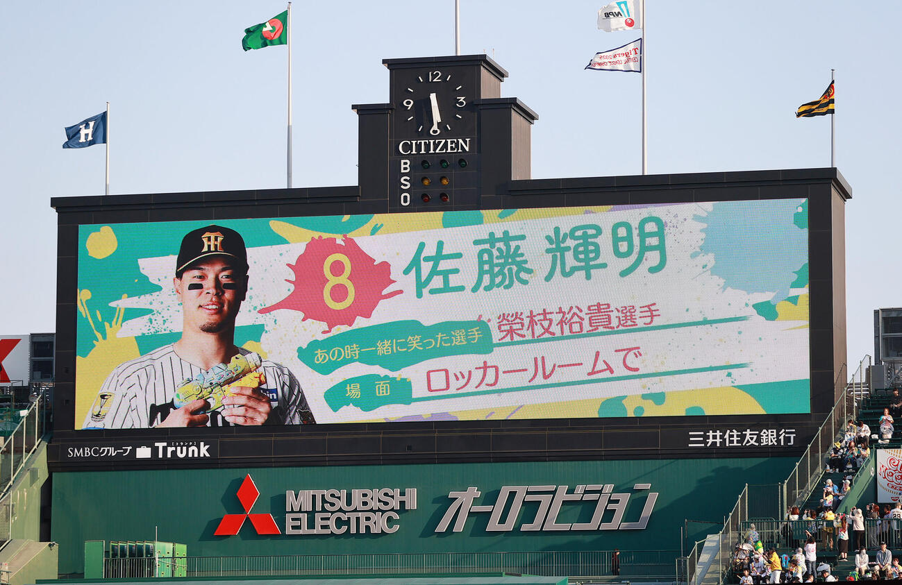 阪神対広島　TORACO DAY演出映像の阪神佐藤輝明（撮影・上山淳一）
