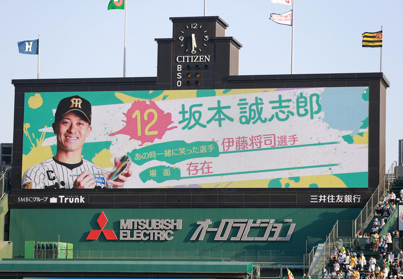 阪神対広島　TORACO DAY演出映像の阪神坂本誠志郎（撮影・上山淳一）