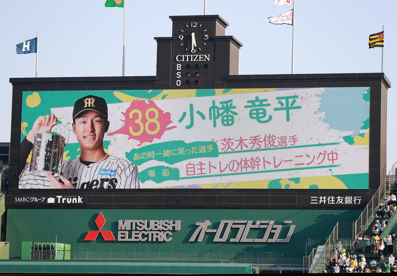 阪神対広島　TORACO DAY演出映像の阪神小幡竜平（撮影・上山淳一）