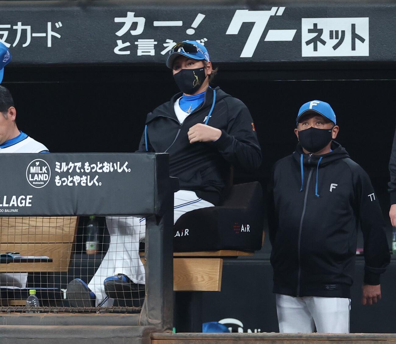 日本ハム対西武　試合を見つめる新庄剛志監督（撮影・黒川智章）