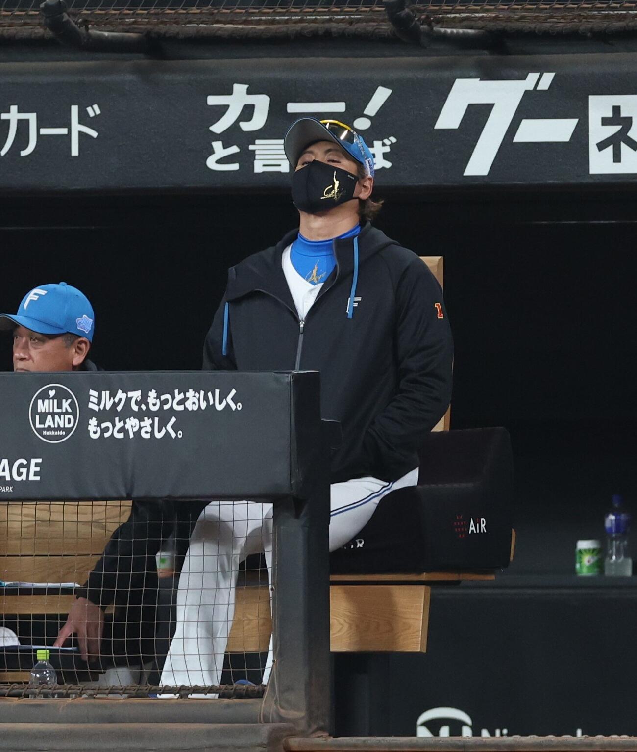 日本ハム対西武　試合を見つめる新庄剛志監督（撮影・黒川智章）