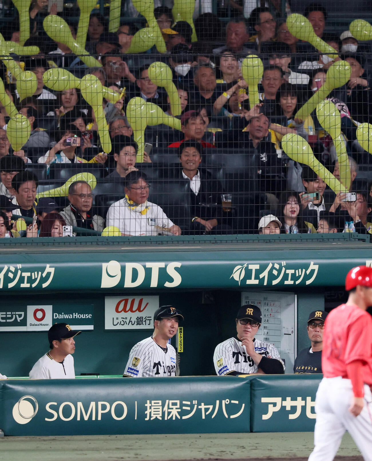 阪神対広島　7回表、ベンチから試合展開を見守る阪神藤川球児監督（撮影・加藤哉）