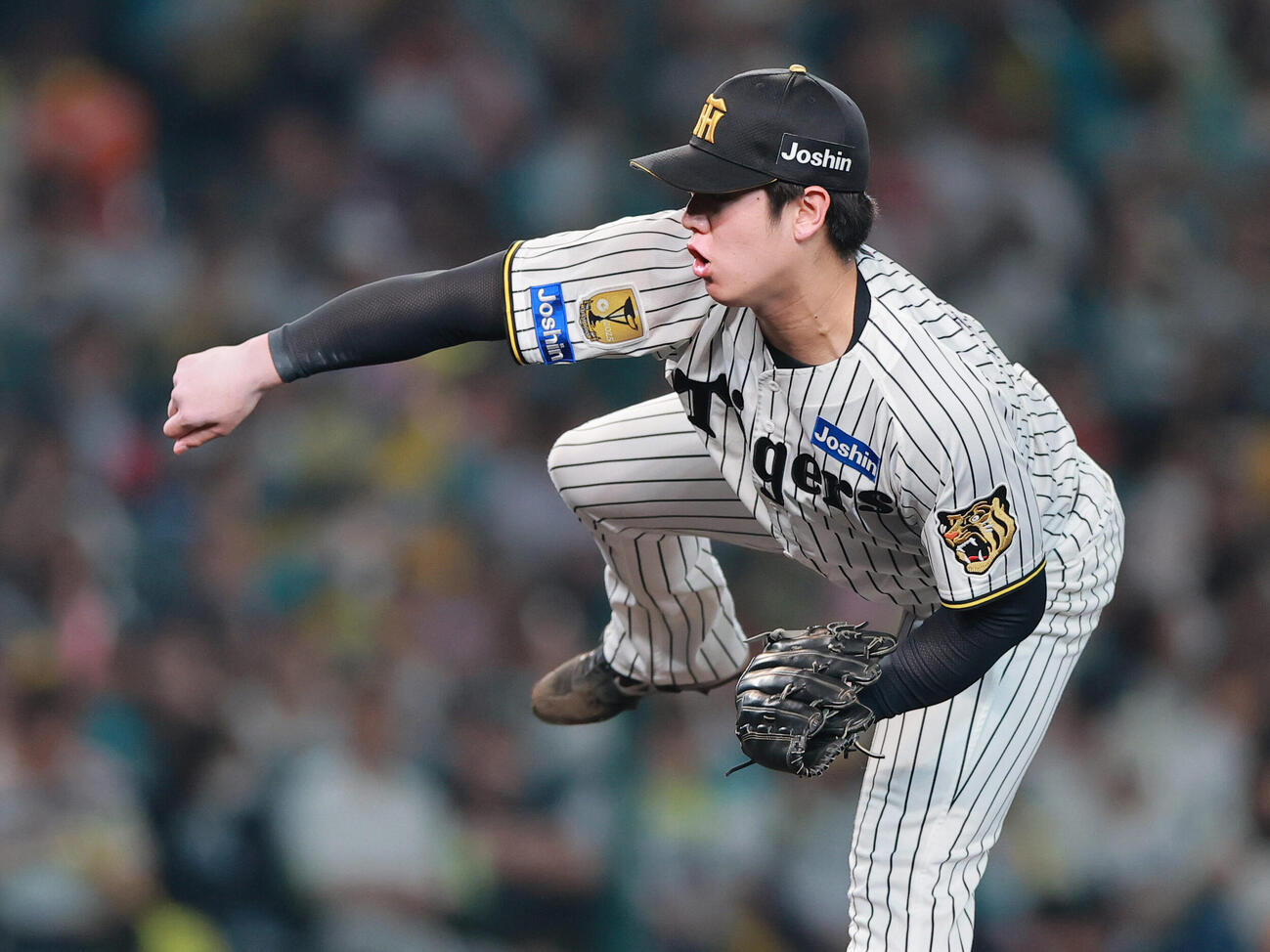 阪神対広島　7回表に登板する阪神石黒佑弥（撮影・上山淳一）