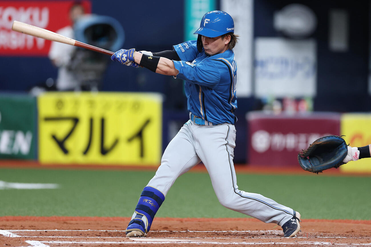 水野達稀（2026年5月撮影）