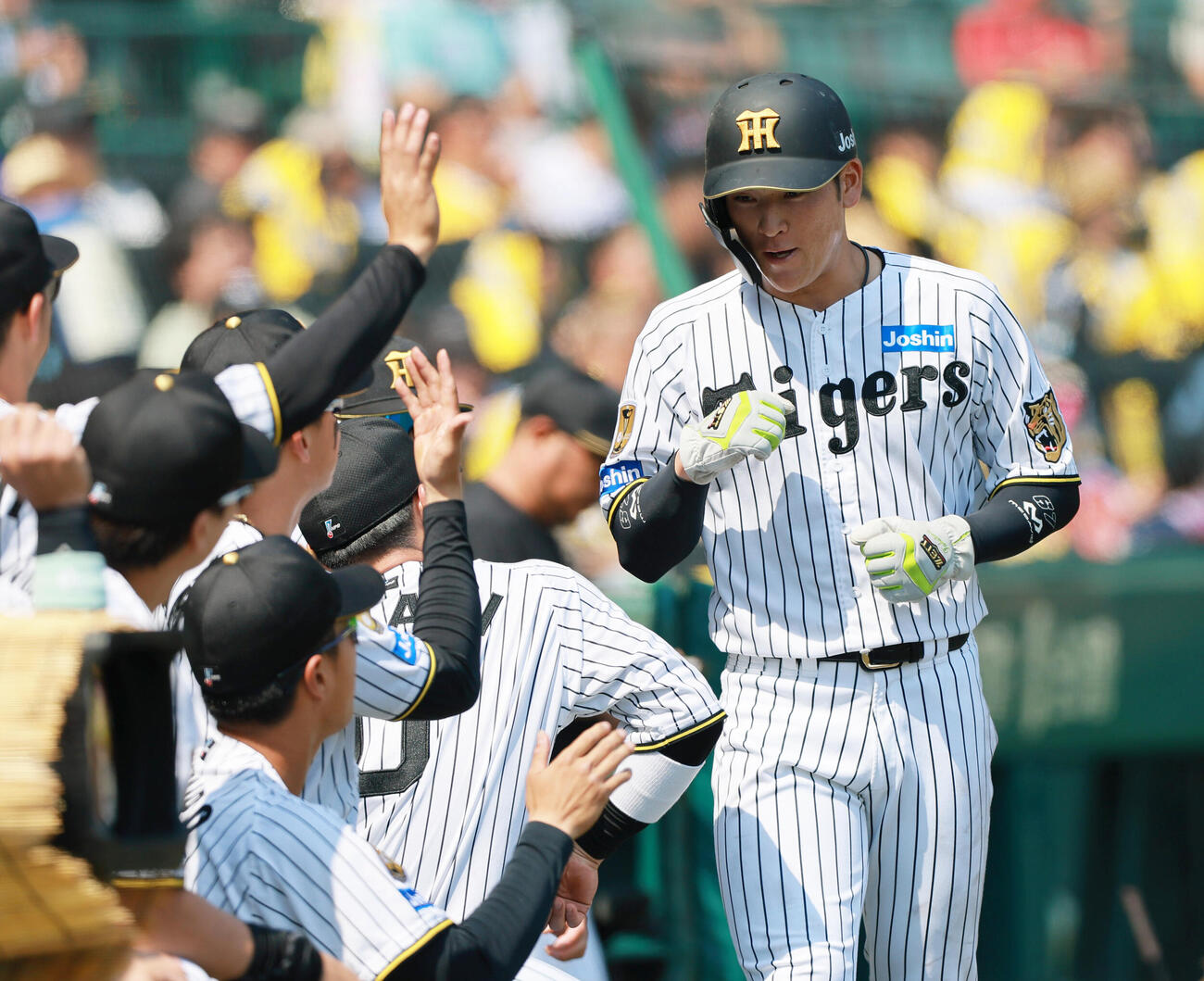 阪神対広島　1回裏阪神1死二、三塁、佐藤輝明の適時打で生還し、祝福を受ける三走高寺望夢（右）（撮影・上山淳一）