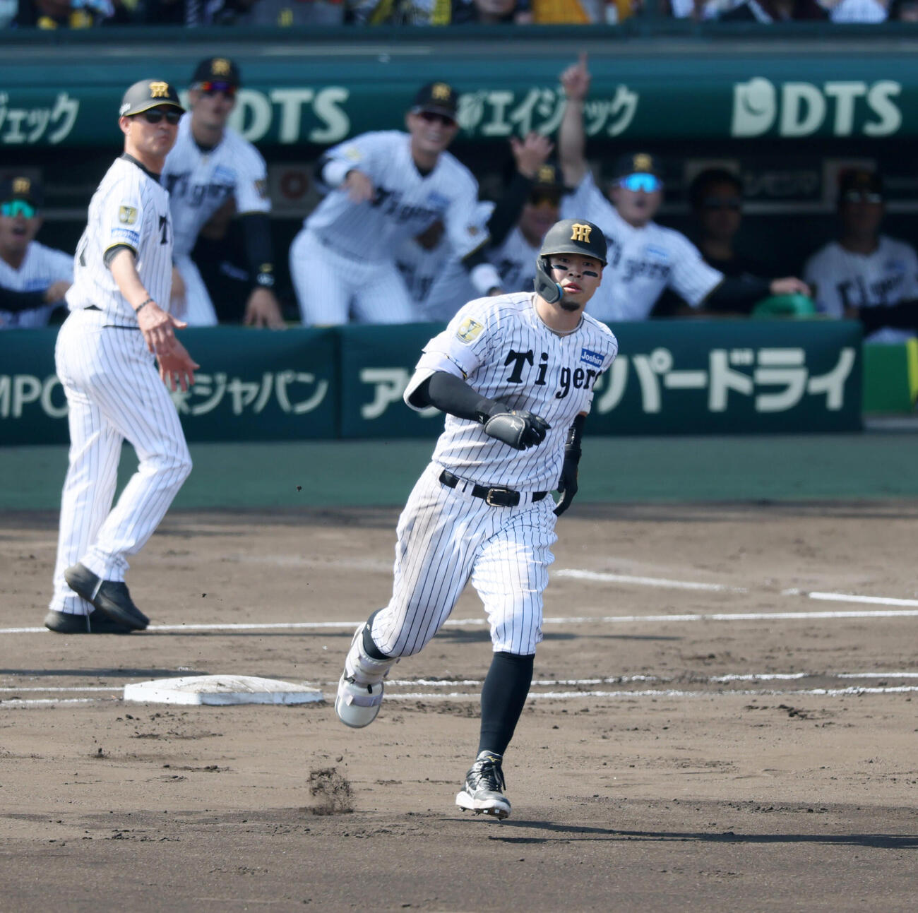 阪神対広島　4回裏阪神無死、佐藤輝明は中越えソロ本塁打を放ちダイヤモンドを駆ける（撮影・加藤哉）