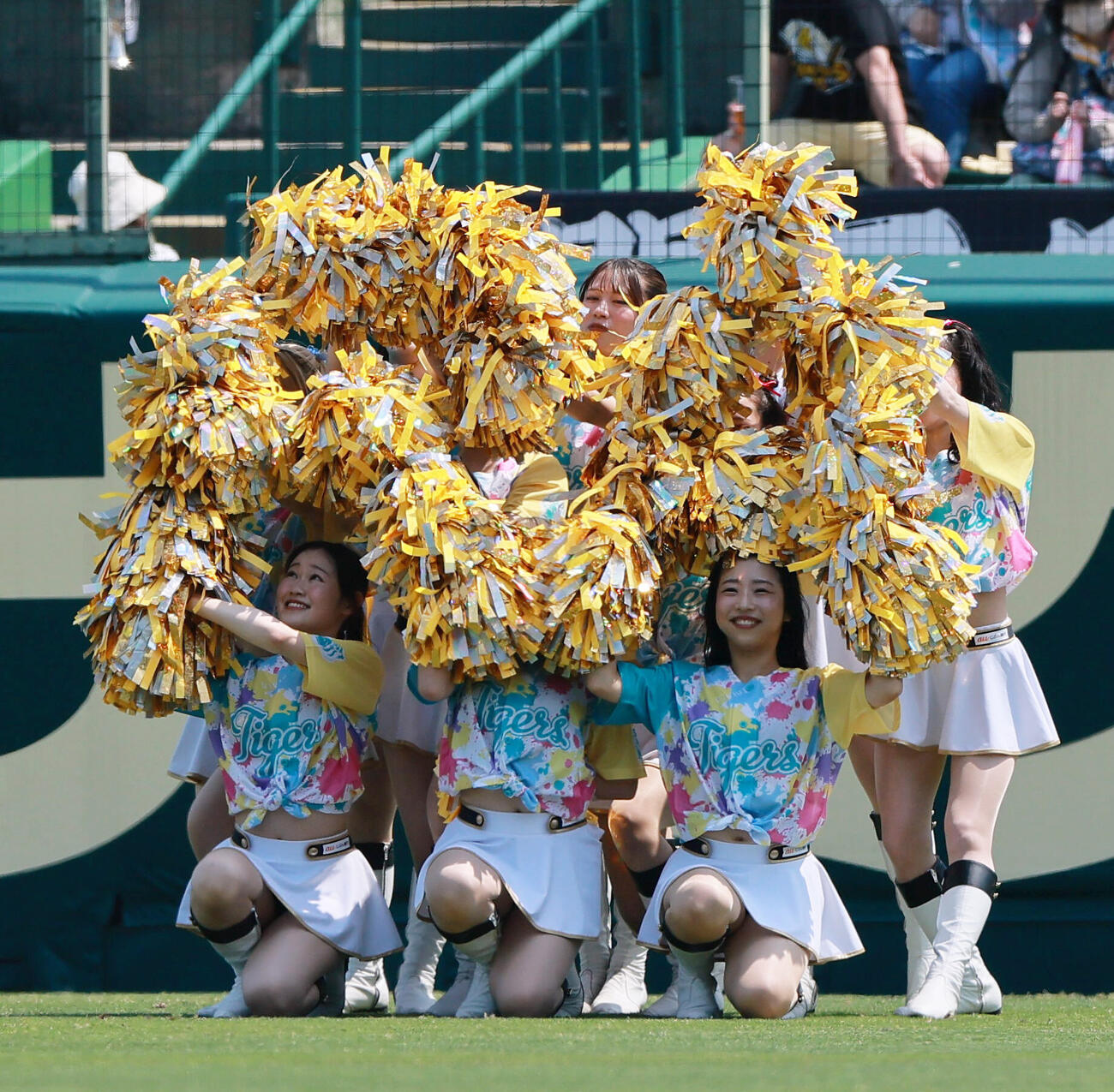 阪神対広島　TORACO DAYを盛り上げるタイガースガールズ（撮影・上山淳一）