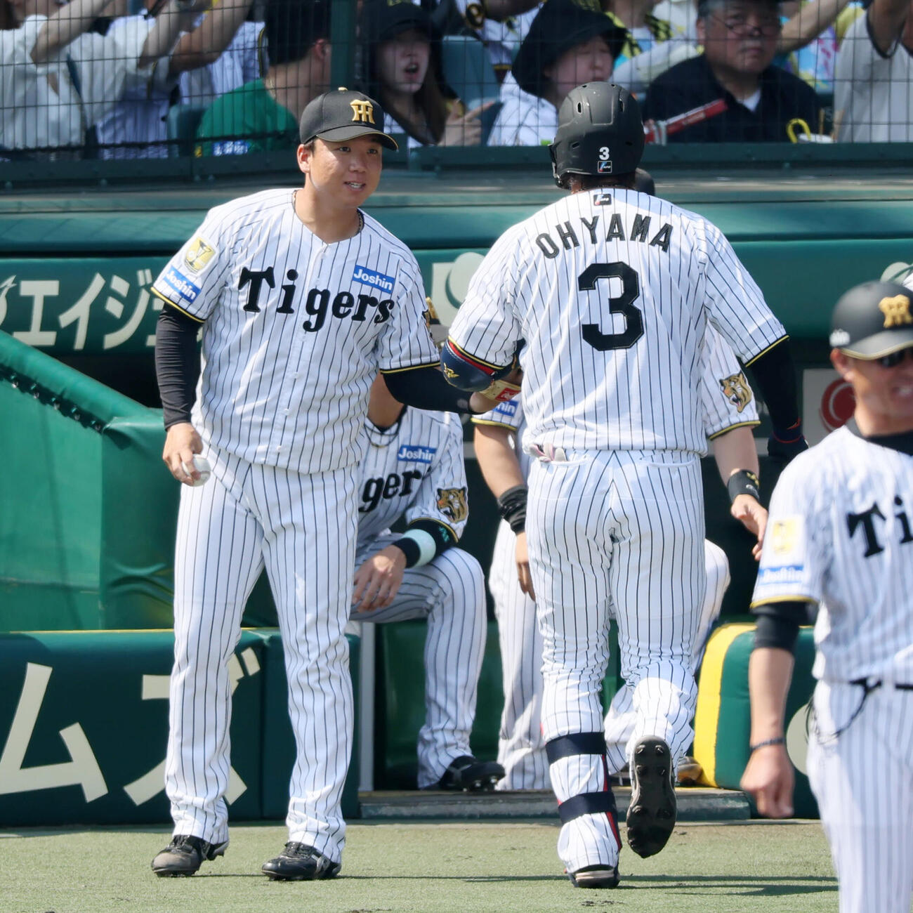 阪神対広島　1回裏阪神1死一、三塁、ベンチ前の村上頌樹（左）は左犠飛を打ち追加点を挙げた大山悠輔を出迎える（撮影・加藤哉）