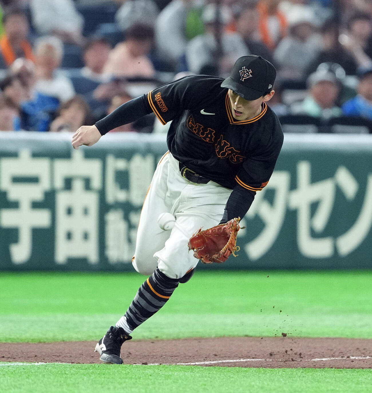 巨人対DeNA 5回表DeNA無死、篠木健太郎の三ゴロをさばく浦田俊輔（撮影・たえ見朱実）