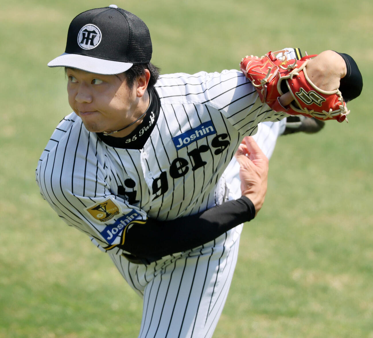 阪神対広島　練習でキャッチボールする阪神才木浩人（撮影・加藤哉）