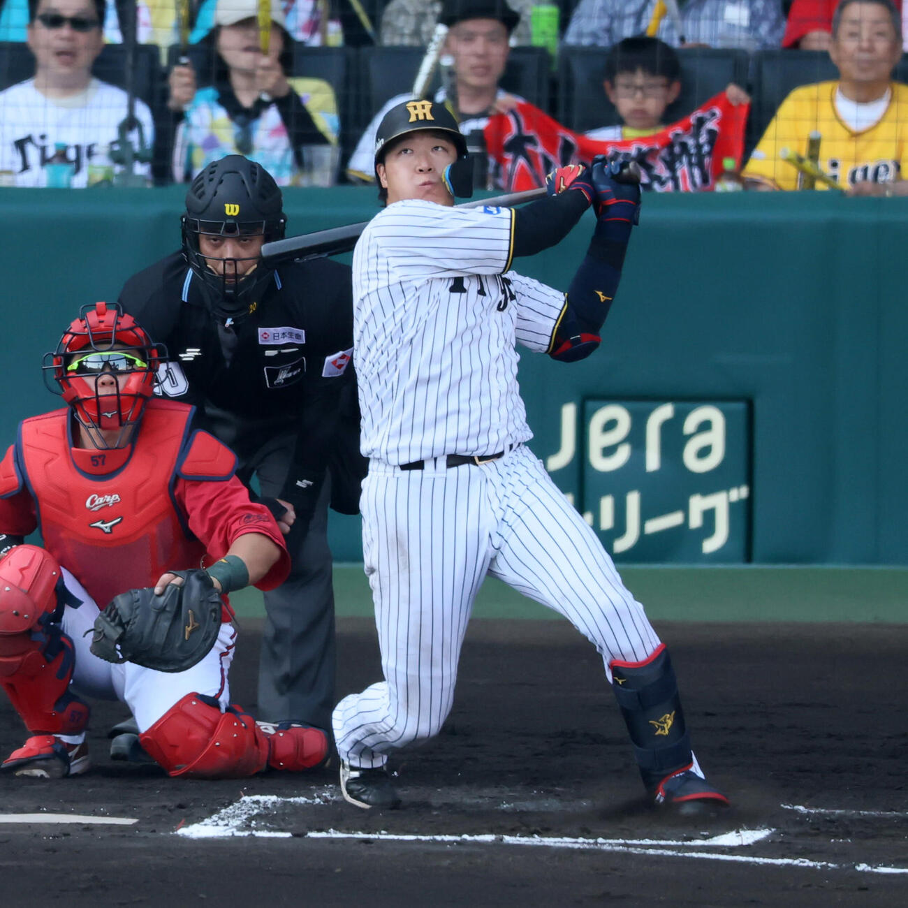 阪神対広島　8回裏阪神2死、大山悠輔は右前打を放つ（撮影・加藤哉）