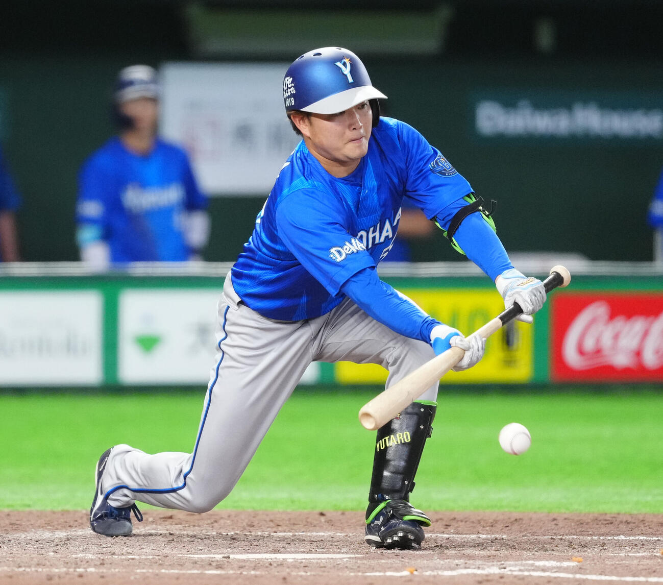 巨人対DeNA 5回表DeNA1死一、三塁、送りバントを決める石田裕太郎（撮影・江口和貴）