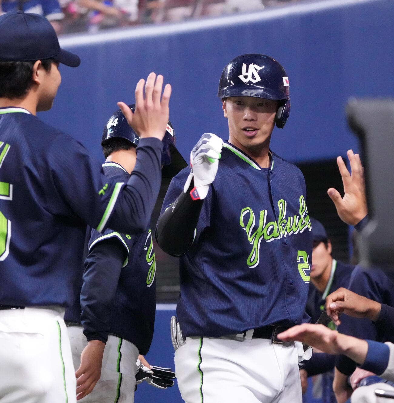 中日対ヤクルト　2回表ヤクルト1死一、三塁、古賀優大（右）はスクイズを決めナインとタッチを交わす（撮影・森本幸一）