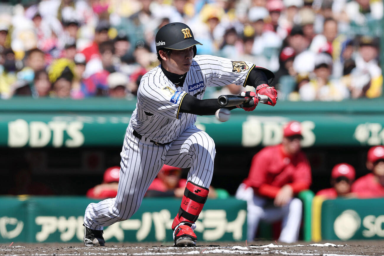 阪神対広島　3回裏阪神1死一塁、バントに失敗する才木浩人（撮影・前田充）