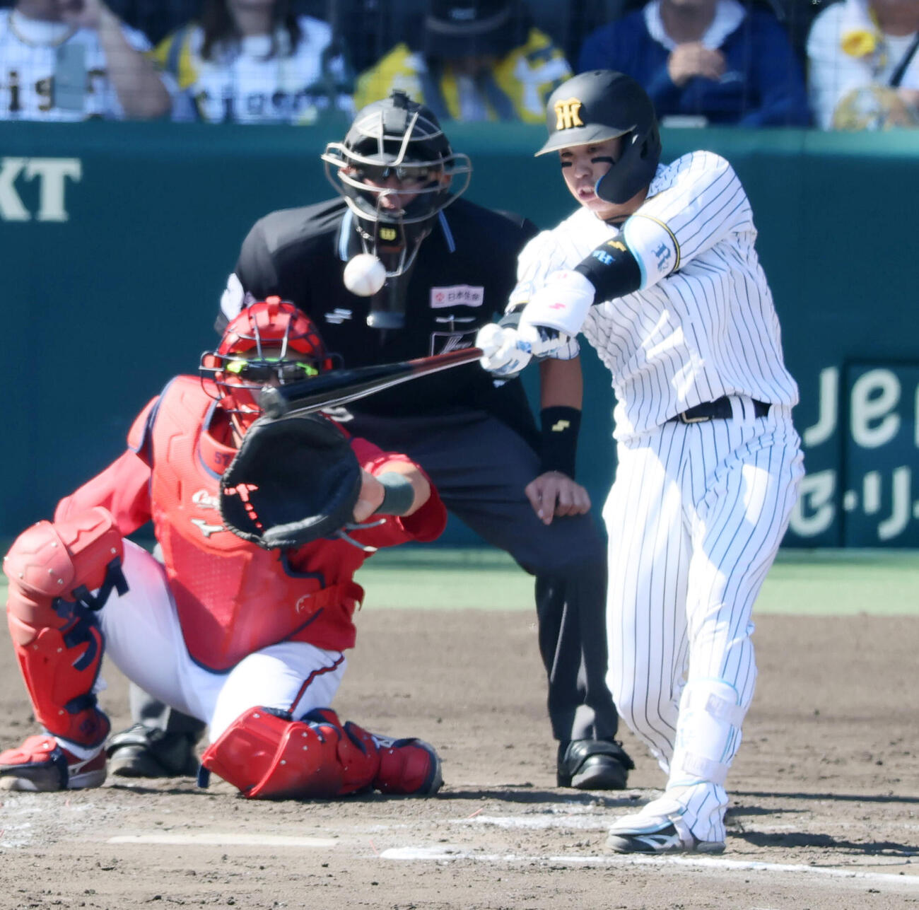阪神対広島　4回裏阪神2死一塁、梅野隆太郎は左前打を放つ(撮影・加藤哉）