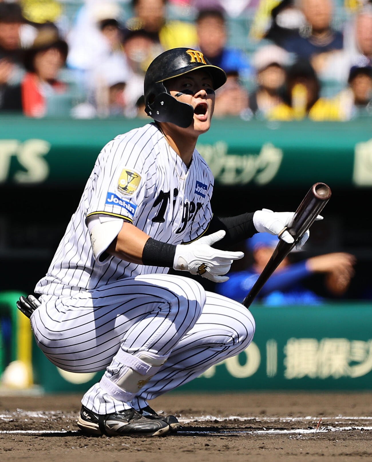 阪神前川右京（2026年5月撮影）