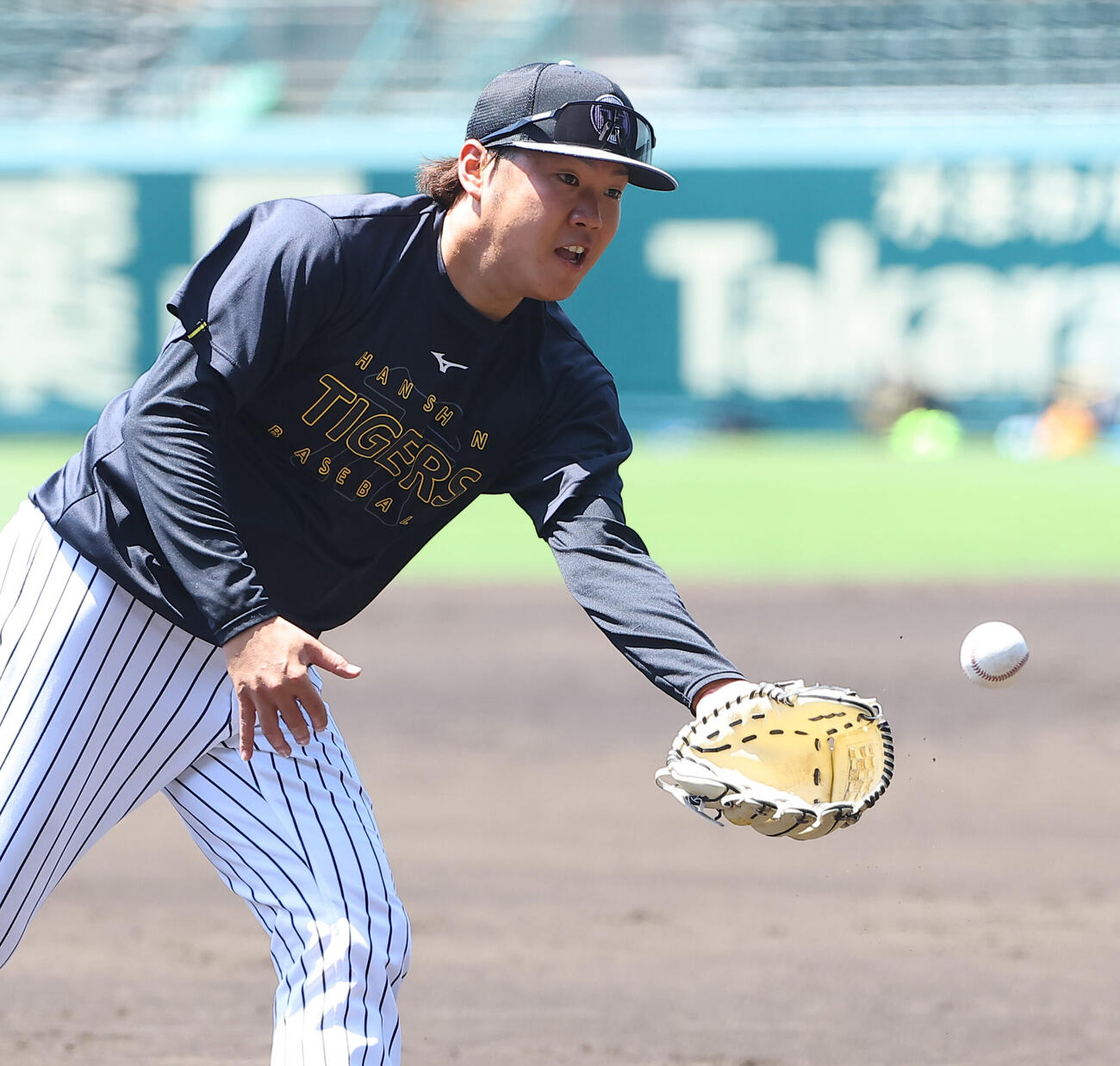 投内連係プレーの練習をする西勇輝は本塁へグラブトスをする（撮影・上田博志）