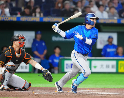 DeNA度会隆輝(2026年5月撮影)