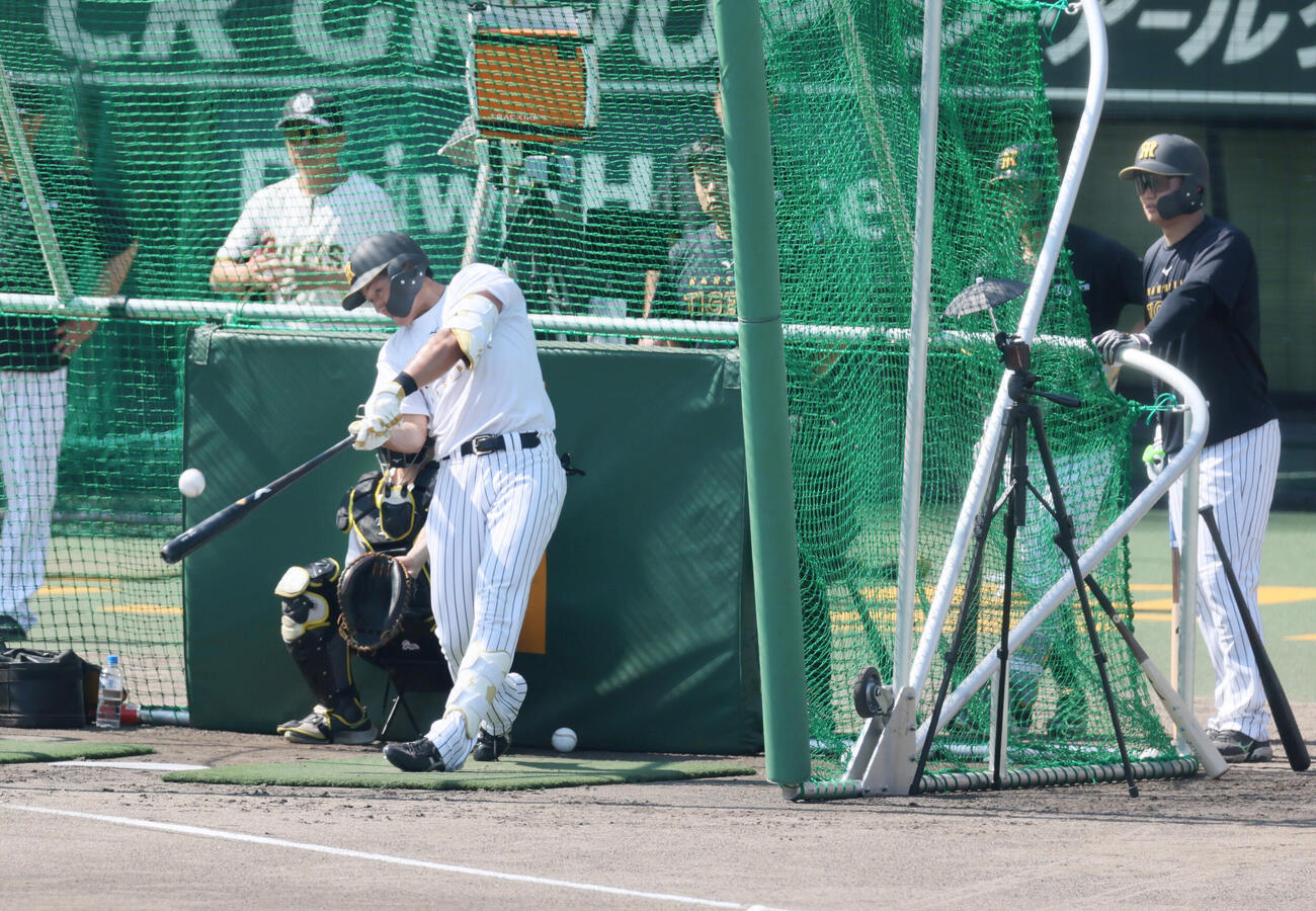 阪神対中日　打撃練習する阪神立石正広。右は森下翔太（撮影・加藤哉）