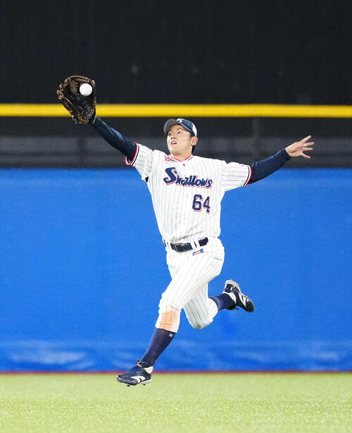 【ヤクルト】岩田幸宏、フェンスに胸あたりぶつけ両手両ひざつく　一時中断もプレー続行