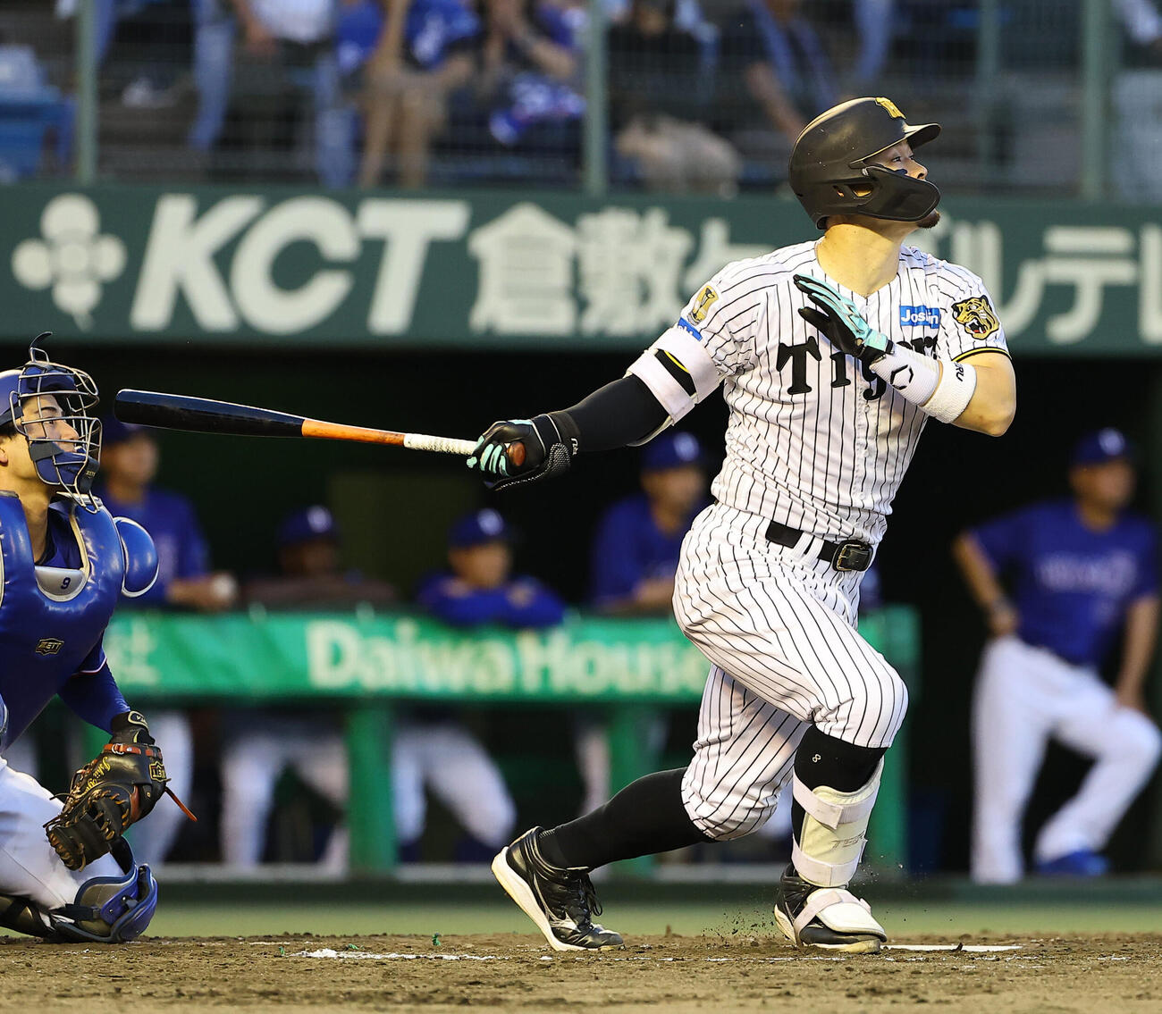 阪神対中日　3回裏阪神1死一塁、佐藤輝明は2点本塁打を放つ（撮影・上田博志）