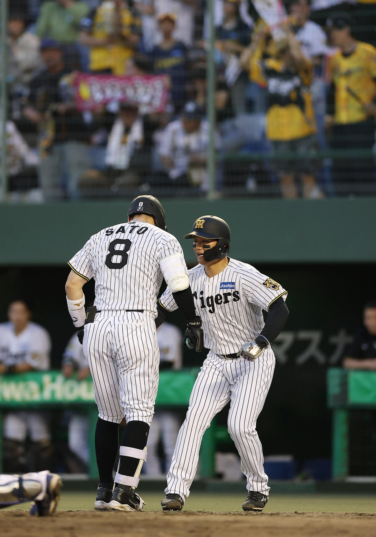 阪神対中日　3回裏阪神1死一塁、2点本塁打を放った佐藤輝明（左）を迎える森下翔太（撮影・前田充）＝2026年5月19日