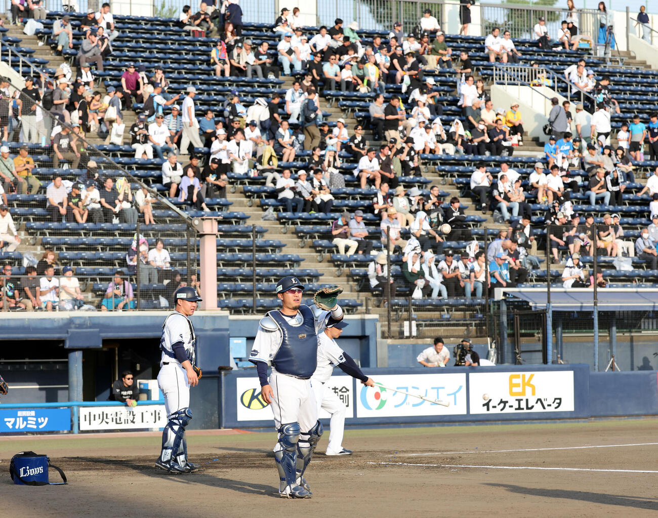 西武対ロッテ　地元群馬で、練習中、元気に声を出す西武柘植世那（撮影・浅見桂子）