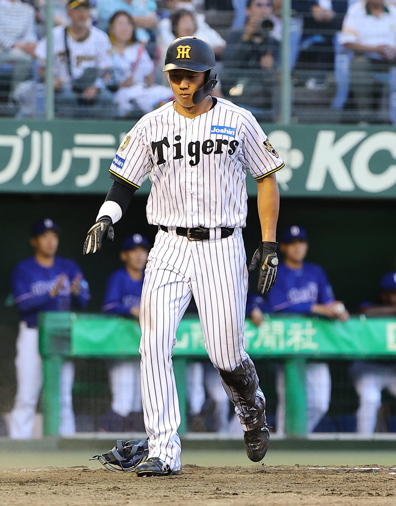 阪神対中日　2回裏阪神無死満塁、西勇輝の一ゴロ併殺打で生還する立石正広（撮影・上田博志）